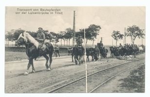 Tilsit, Stadt, Stadtkreis Tilsit 