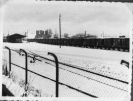 Königsberg (Pr.), Stadtkreis Königsberg 