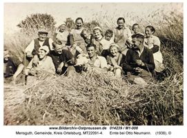 Mensguth, Gemeinde, Kreis Ortelsburg 