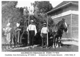 Ossafelde, Kreis Elchniederung 