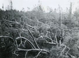 Johannisburg, Kreis Johannisburg 