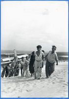 Rossitten Kr. Samland, Kreis Samland Rossitten Kr. Samland, Transport von Segelflugzeugen durch den Dünensand II 
