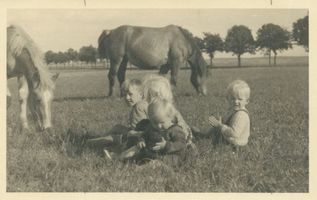 Seepothen Kr. Preußisch Holland, Kreis Preußisch Holland Seepothen Kr. Preußisch Holland, Wiese, Kinder und Pferde Зеэпотен, р-н Прейсиш-Холланд, луг, дети и лошади