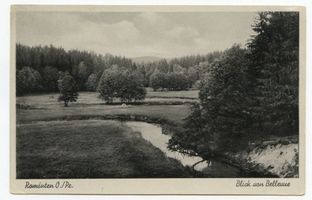 Rominter Heide, Blick von Bellevue II Роминтенская пуща, вид с Бельвю, II