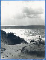 Loppöhnen, Kreis Samland Loppöhnen, Strand III 