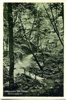 Warnicken, Kreis Samland 