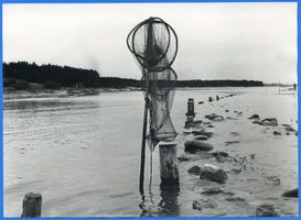  Frische Nehrung, Fischkescher bei Pillau und Neutief 