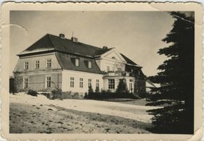 Wildwiese, Kreis Elchniederung 