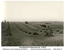 Moithienen, Kreis Ortelsburg 