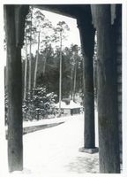 Reichsjägerhof, Kreis Goldap Reichsjägerhof, Winterbild, Blick in den Wald 
