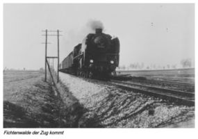 Fichtenwalde Kr. Gumbinnen, Kreis Gumbinnen 