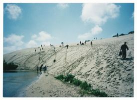  Kurische Nehrung, Auf den Dünen IV Куршская коса, на дюнах, IV