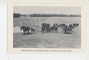 Juditten Kr. Bartenstein, Kreis Bartenstein 