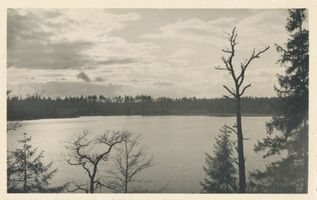  Rominter Heide, Marinowo-See bei Sonnenuntergang im Herbst Rominter Heide, Marinowo-See