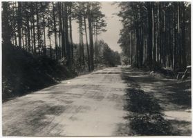 Kahlberg-Liep, Ort, Kreis Elbing Kahlberg-Liep, Chaussee nach Liep 