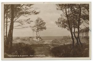 Palmnicken, Kreis Samland Palmnicken, Park und Waldpartie Samländische Steilküste
