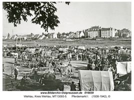 Wehlau, Kreis Wehlau 