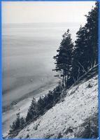  Frisches Haff, Haffküste bei Korschenruh, III Фришский залив, берег залива у Коршенру, III