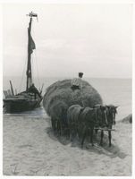 Pillkoppen, Kreis Samland Pillkoppen, Heuernte mit dem Boot III Labiau, Orte im Kreis