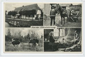  Aus der Elchniederung, Haus, Pferdegespann, Elche, Netzflicker Elchniederung, Landwirtschaft - Höfe, Arbeit und Leben