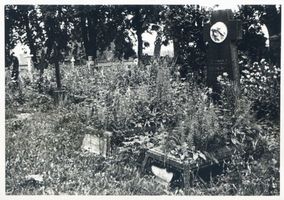 Groß Bößau, Kreis Rößel Groß Bößau, Verwildeter Friedhof 