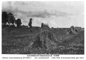 Plehnen Kr. Rastenburg, Kreis Rastenburg 