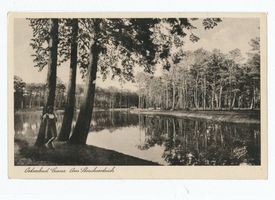 Cranz Kr. Samland, Ort, Kreis Samland 