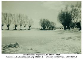Kuckerneese, Ort, Kreis Elchniederung 
