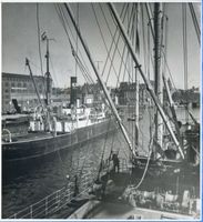 Königsberg (Pr.), Stadtkreis Königsberg Königsberg, Hafenpartie an der Bohlwerksgasse XIII Königsberg, Außenhafen (bis zum Hauptzollamt)