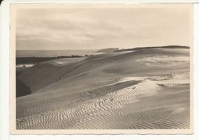 Pillkoppen, Kreis Samland Pillkoppen, letzte Sonne auf den Dünen 