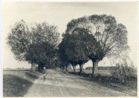 Rohren (Ostpr.), Kreis Ebenrode Rohren (Ostpr.), Weg von Kleinhopfenbruch nach Rohren 