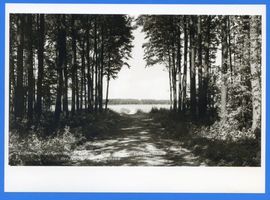 Lupken, Kreis Johannisburg Lupken, Park der Bezirksführerschule der NSDAP mit Roschsee 