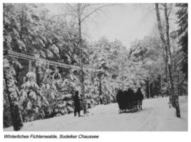 Fichtenwalde Kr. Gumbinnen, Kreis Gumbinnen 