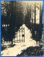 Quanditten, Kreis Samland Quanditten, Allee 