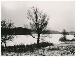  Kreis Allenstein, Winterlandschaft mit See im Umkreis von Allenstein Район Алленштайн, зимний пейзаж с озером в окрестностях Алленштайна