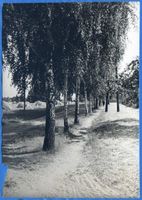 Lötzen, Stadt, Kreis Lötzen Birkenweg Lötzen??, Birkenweg 