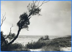 Nimmersatt, Kreis Memel Nimmersatt, Strandbild 