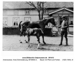 Antonswiese, Kreis Elchniederung 