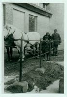 Erlen, Hebewerk, Kreis Elchniederung 