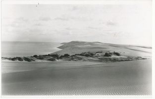  Kurische Nehrung, Wanderdünen bei Pillkoppen, IV Kurische Nehrung, Dünen