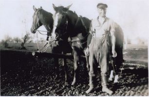 Wildwiese, Kreis Elchniederung 