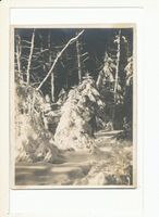 Balga, Kreis Heiligenbeil Balga, Winterlandschaft III 