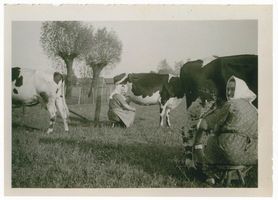 Adlig Linkuhnen, Kreis Elchniederung 