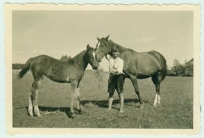 Mulden Kr. Gerdauen, Kreis Gerdauen 