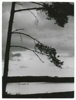  Niedersee (See), Abendstimmung am Niedersee II Masurische Seen