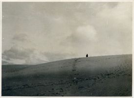 Nidden, Kreis Memel Nidden, Die hohe Düne bei Nidden XI Nidden, Landschaft - Ostsee - Umgebung