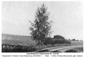 Bürgersdorf Kr. Rastenburg, Försterei, Kreis Rastenburg 