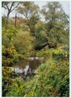 Schönlinde Kr. Gerdauen, Kreis Gerdauen 