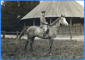 Groß Trakehnen, Kreis Ebenrode Groß Trakehnen, Vierjähriger Wallach Kaiserlinkh. (Canccarasohn) 