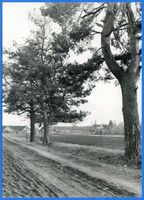 Hegehof, Kreis Tilsit-Ragnit Adlig Schilleningken, Landschaft bei Adlig Schilleningken 